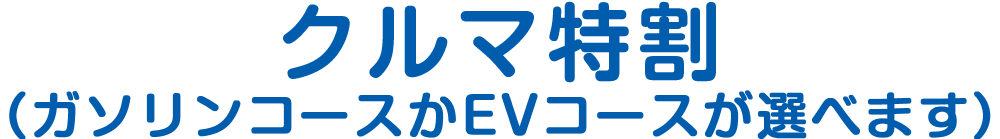 カーオプション
（ガソリコースかEVコースが選べます）