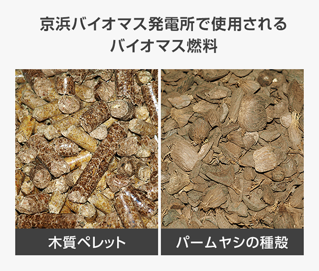 京浜バイオマス発電所で使用されるバイオマス燃料